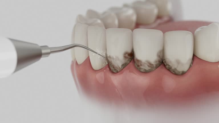 Reliable Dental contractor in Salisbury, NC by Dentist Open Now
